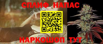 сатива Долгопрудный
