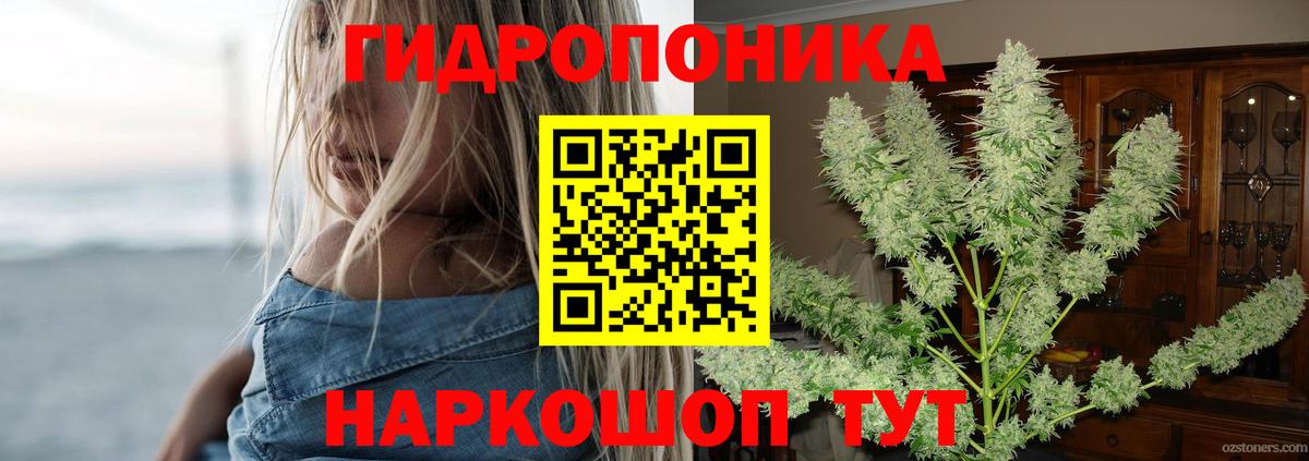 Канабис Bruce Banner  Вход с VPN  Гурьевск  Бошки Шишки VHQ  Конопля марихуана  Конопля сатива 